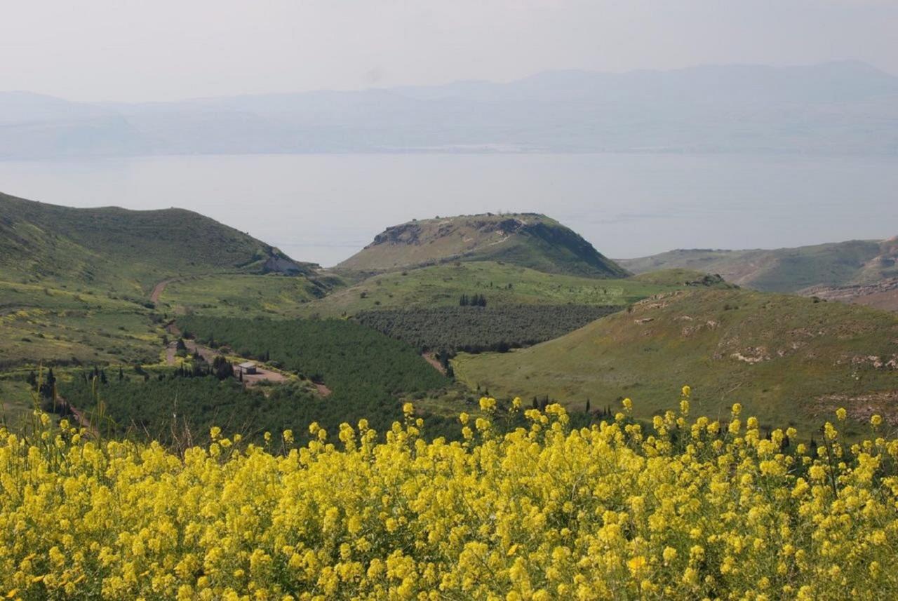 Lakeside Terrace Neot Golan Kültér fotó